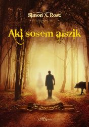  Aki sosem alszik - Tom Sawyer visszatr